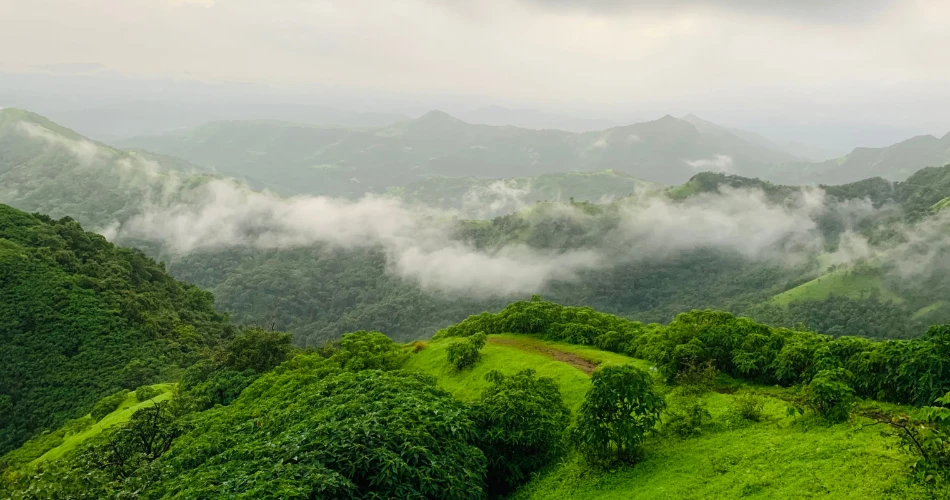 Maharashtra Nature Park Mumbai: Activities, Trails & Visitor Tips